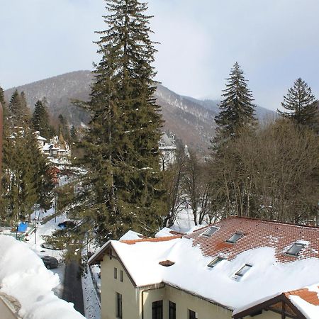 Central Park View Sinaia Eksteriør billede