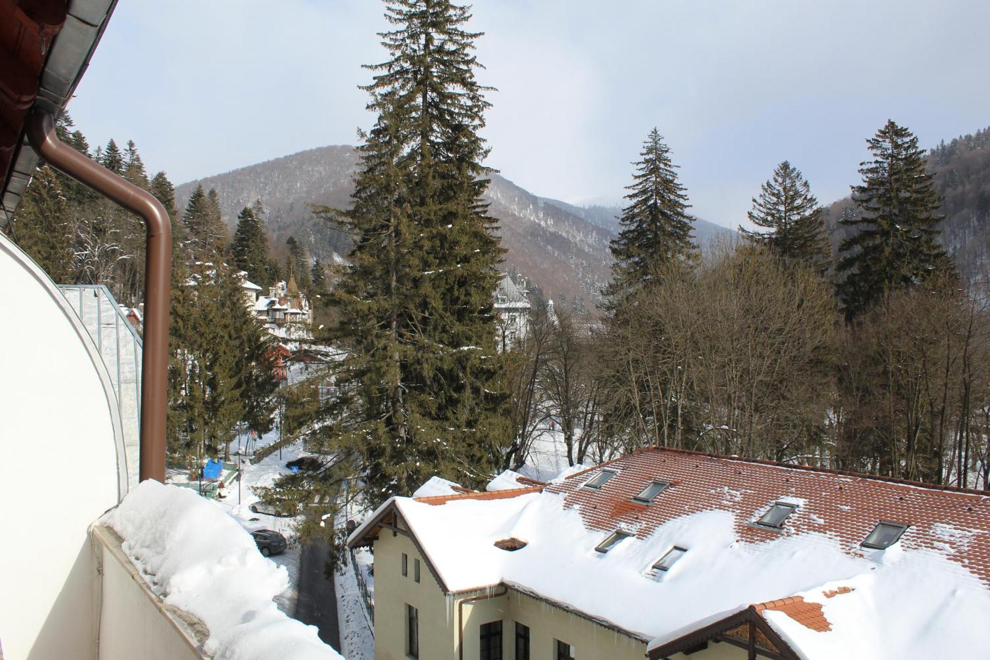 Central Park View Sinaia Eksteriør billede
