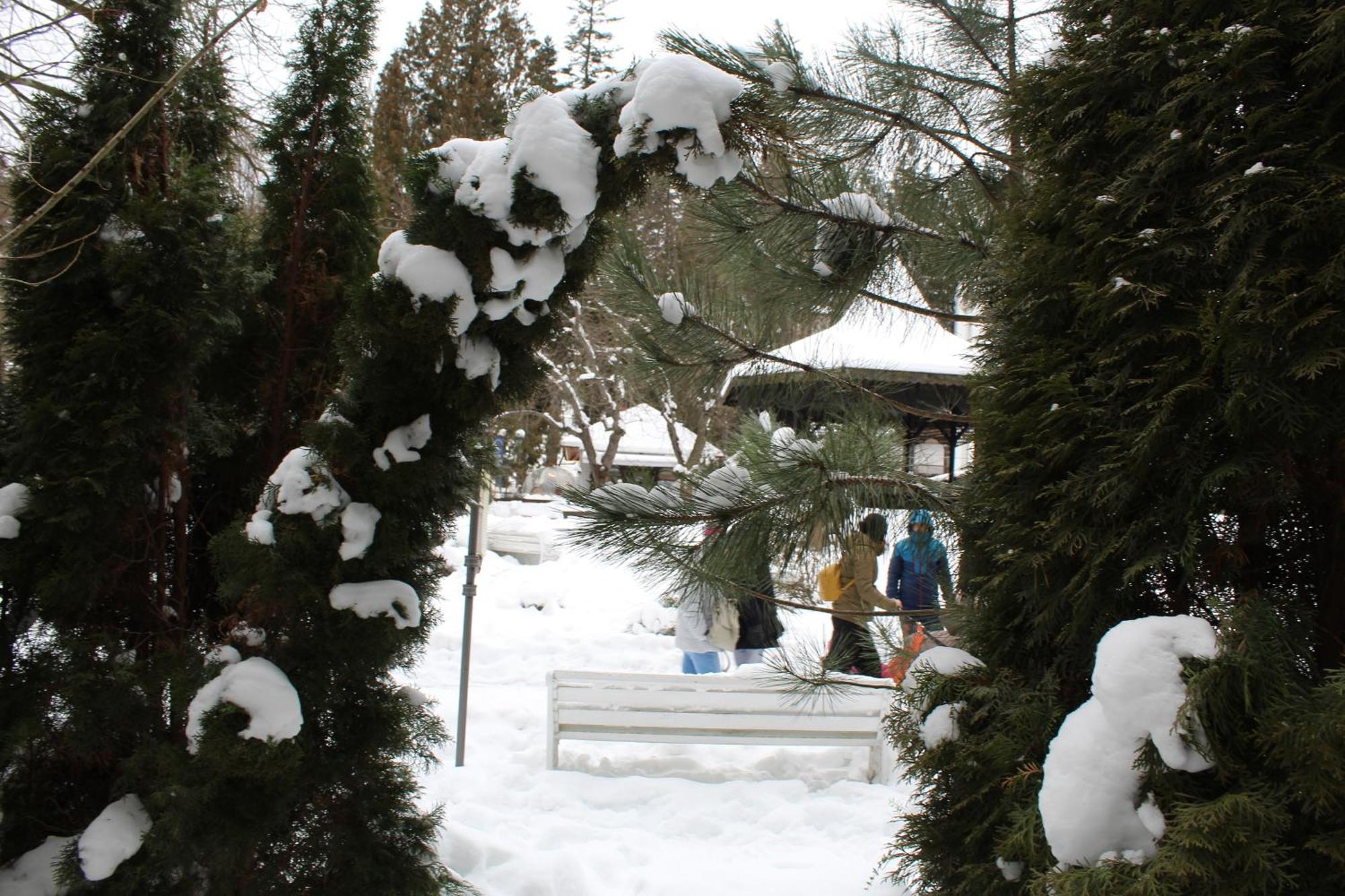 Central Park View Sinaia Eksteriør billede