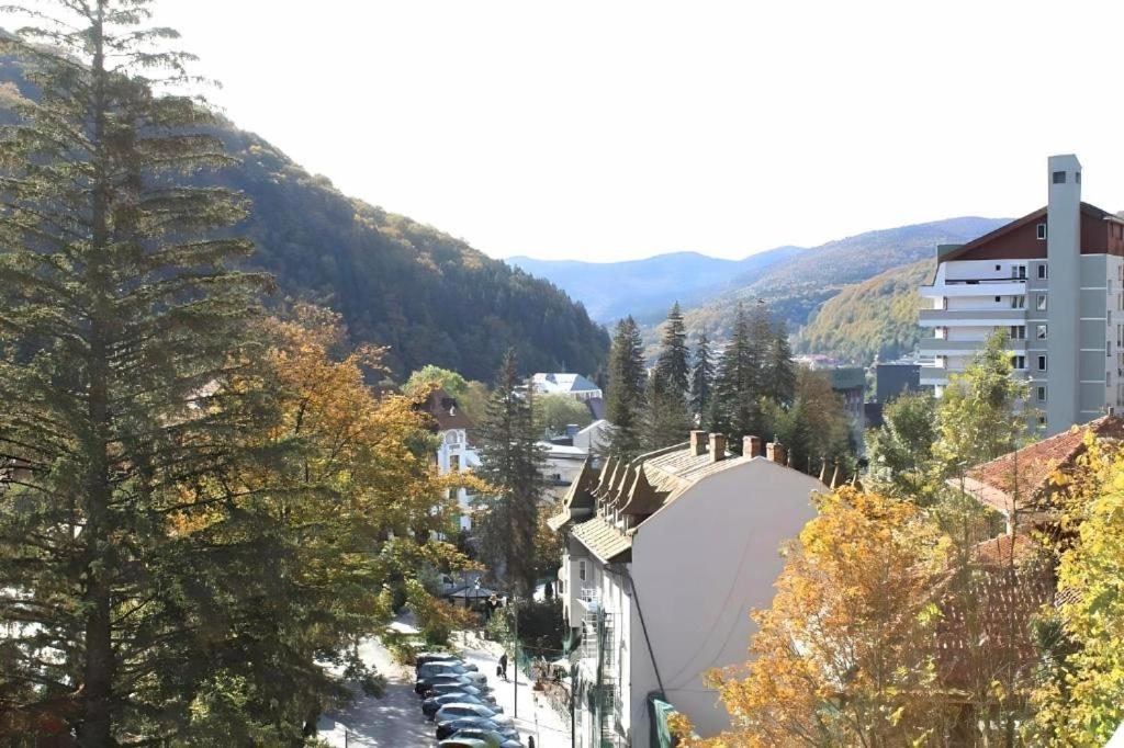 Central Park View Sinaia Eksteriør billede
