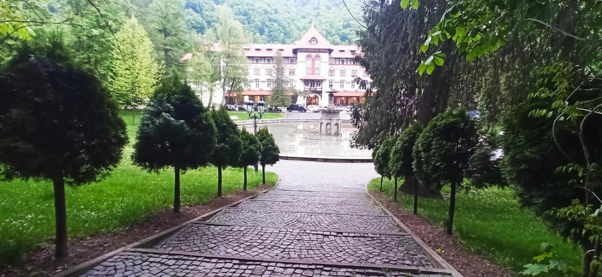 Central Park View Sinaia Eksteriør billede